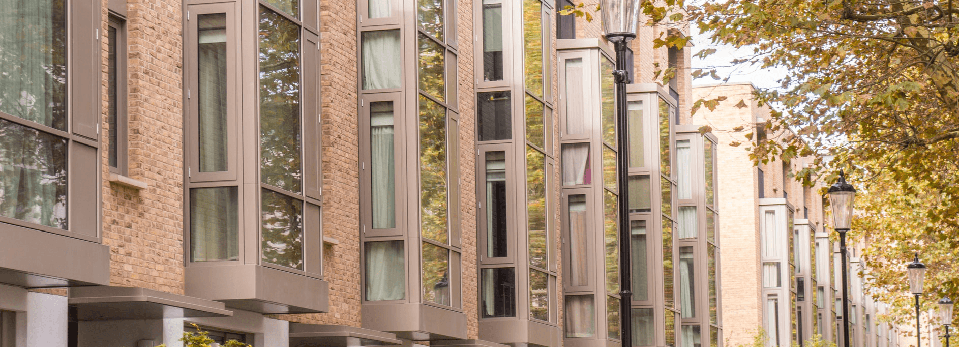 shot of a row of windows